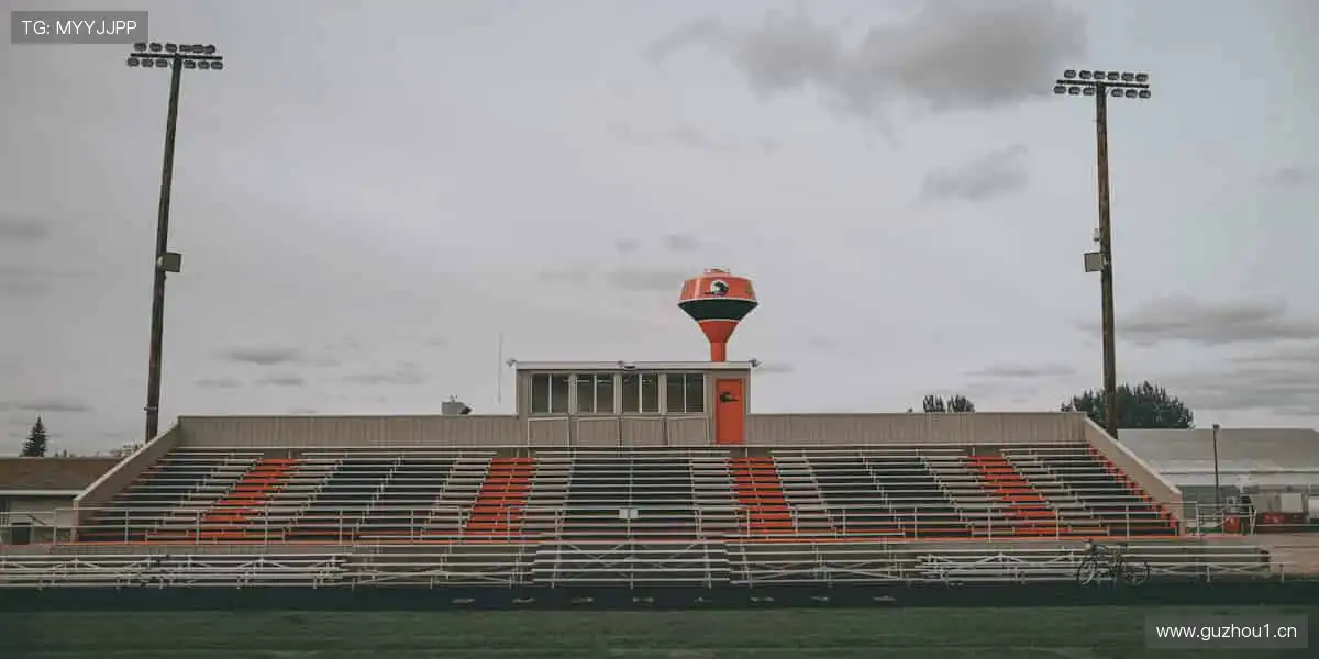 🏀 挑战极限，每一球都值得欢呼！